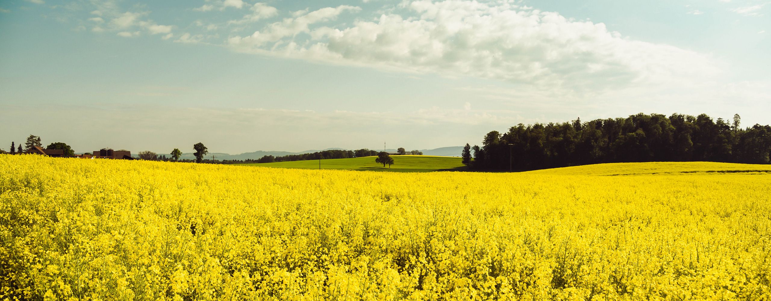 eichmuehle-header-fotogalerie