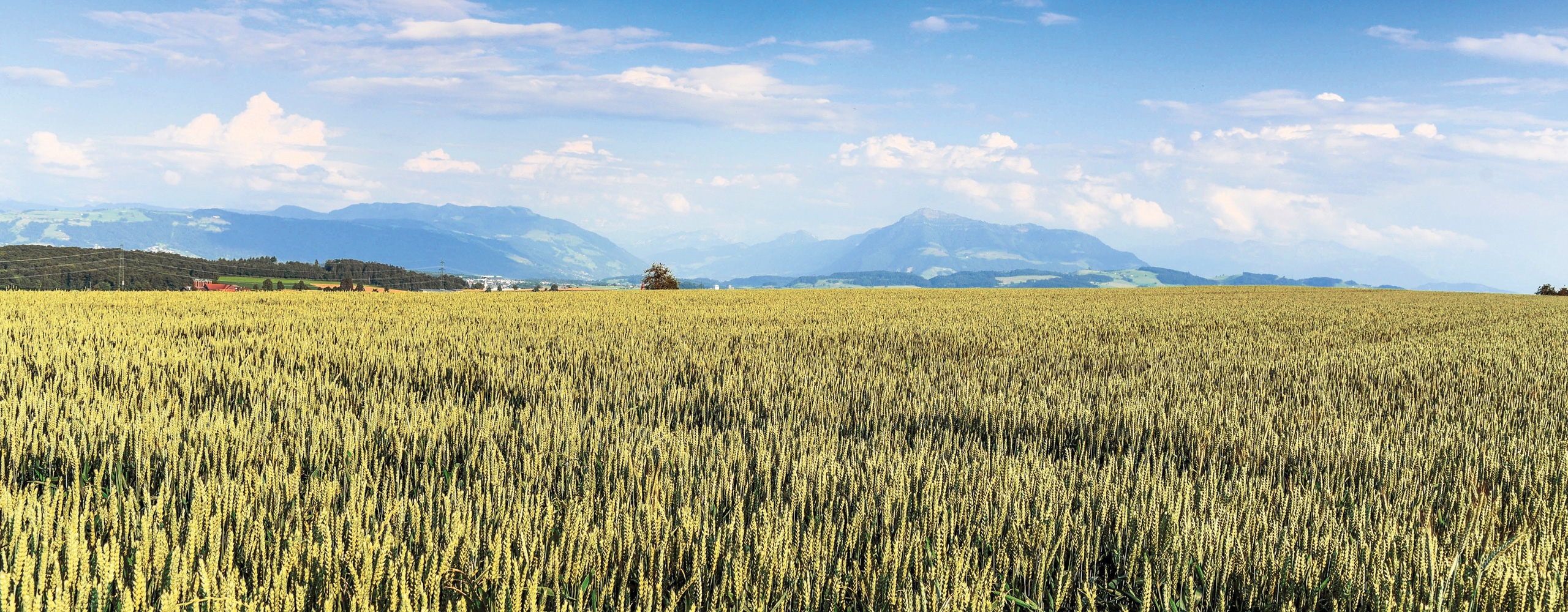 eichmuehle-header-qualitaet
